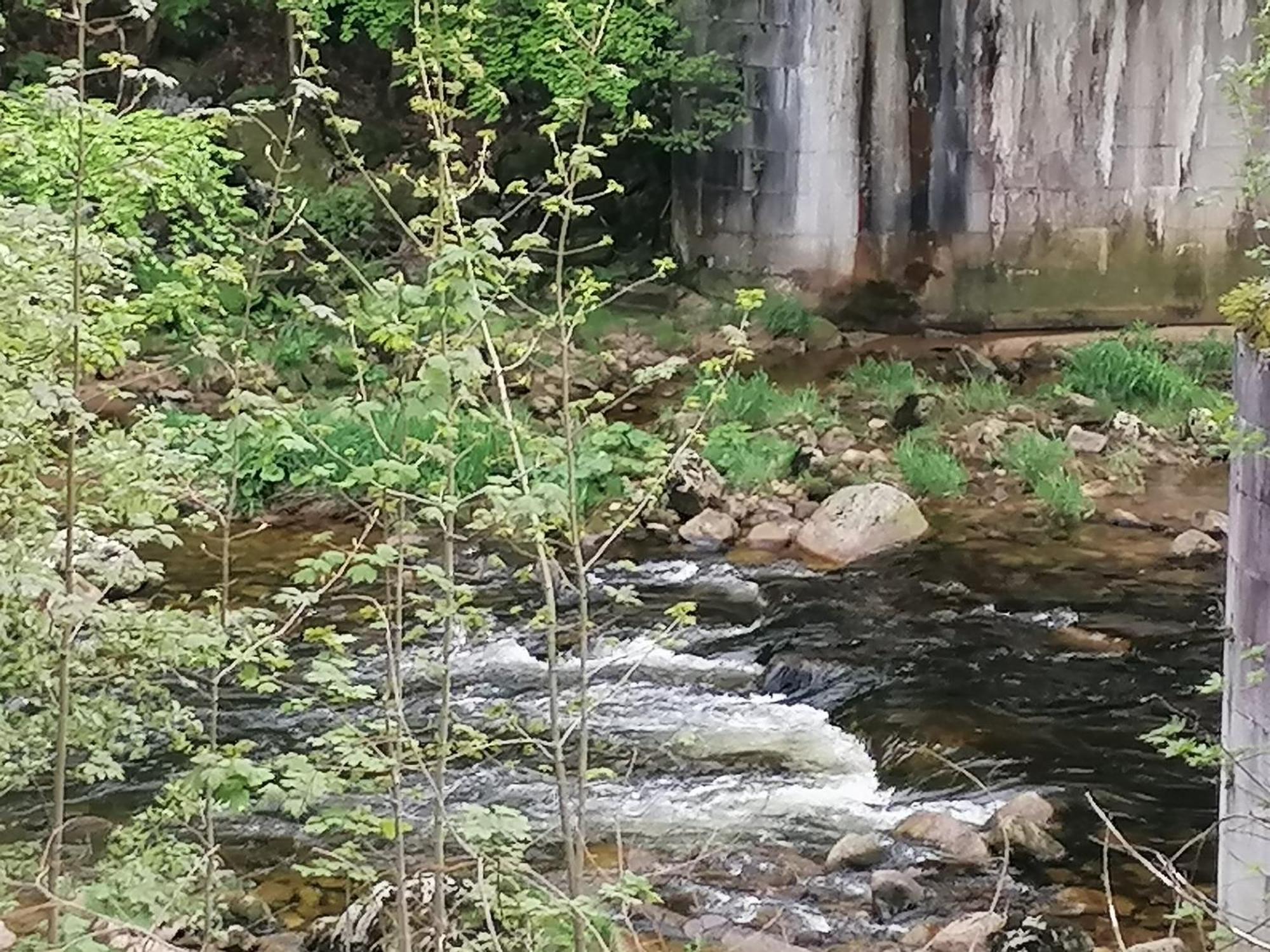 Hotylek Na Myte Hotel Harrachov Luaran gambar